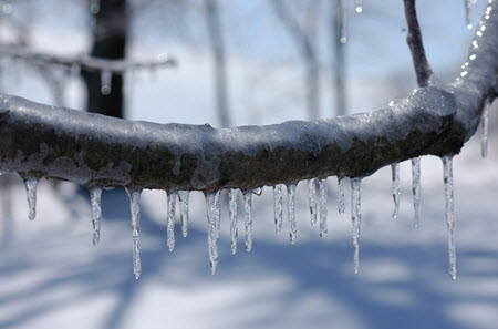 ice storm